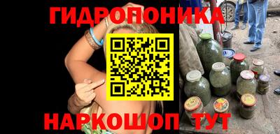 ГАЛЛЮЦИНОГЕННЫЕ ГРИБЫ Гусиноозёрск