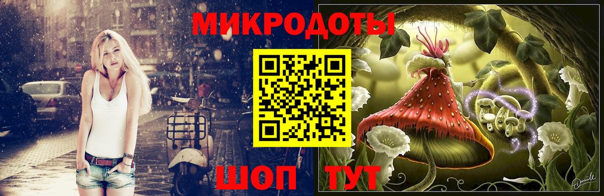 Галлюциногенные грибы прущие грибы  Вход с VPN  Ноябрьск 